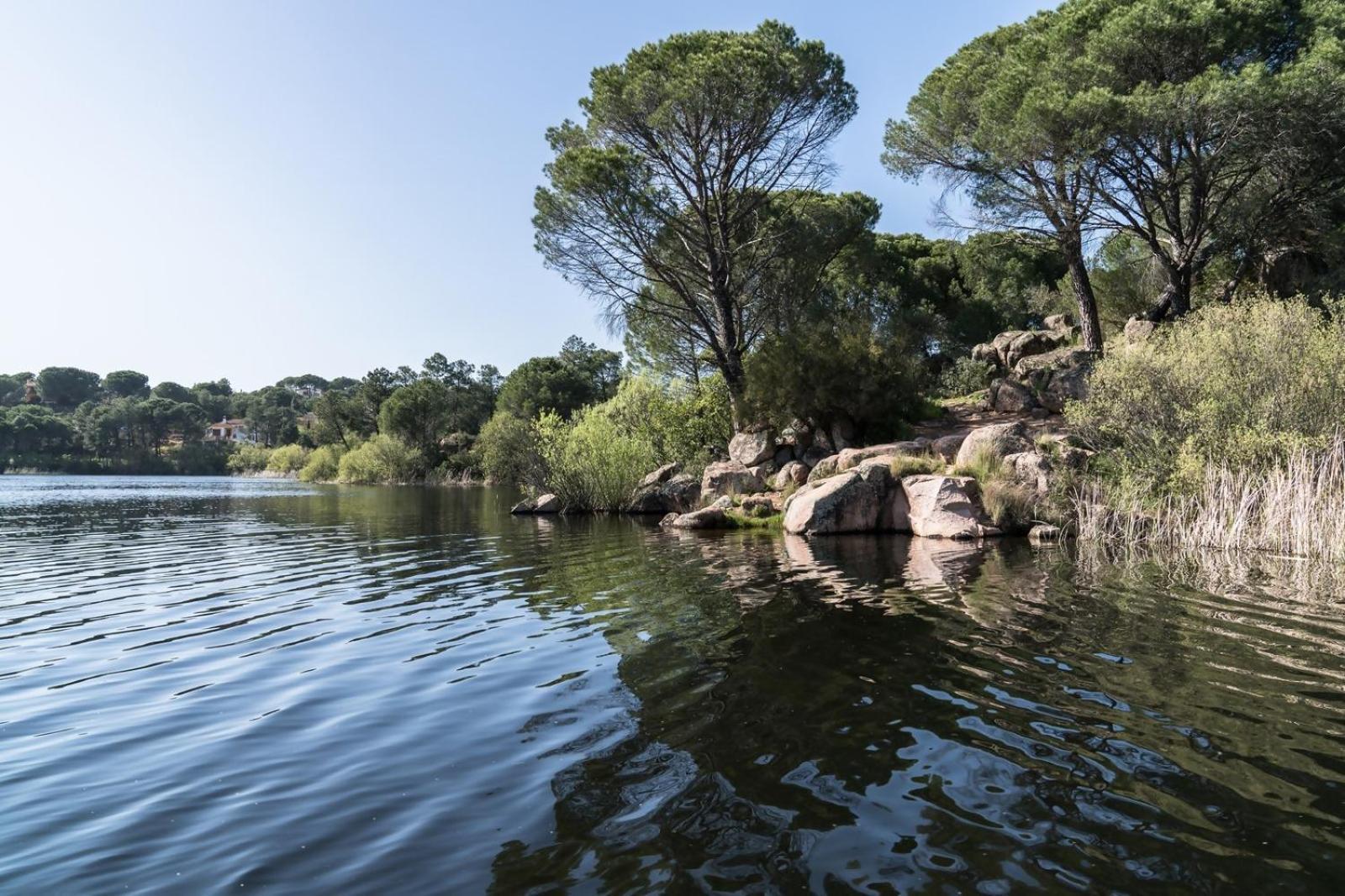 Casa El Lago Alojamiento Rural Las Jaras 外观 照片